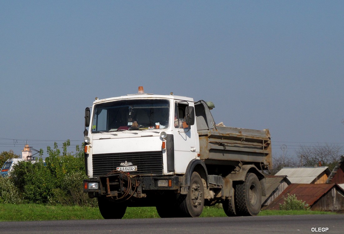 Витебская область, № АА 6404-2 — МАЗ-5551 (общая модель)