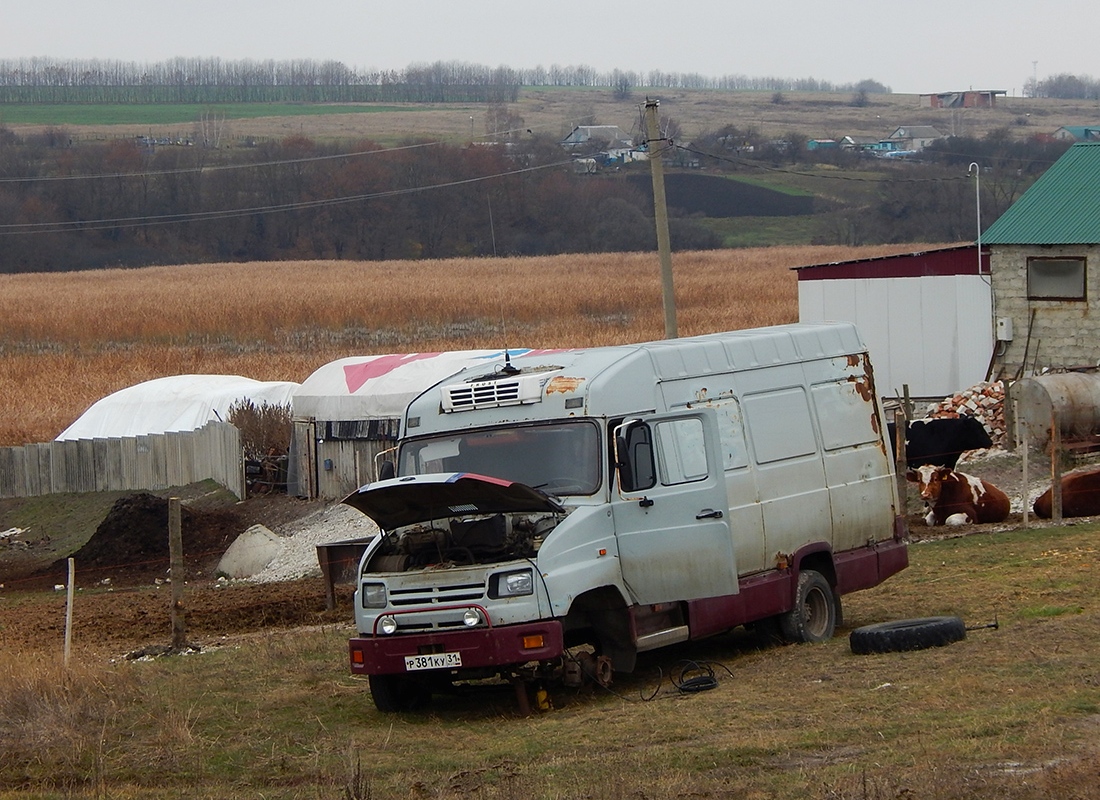 Белгородская область, № Р 381 КУ 31 — ЗИЛ-5301CC "Бычок"