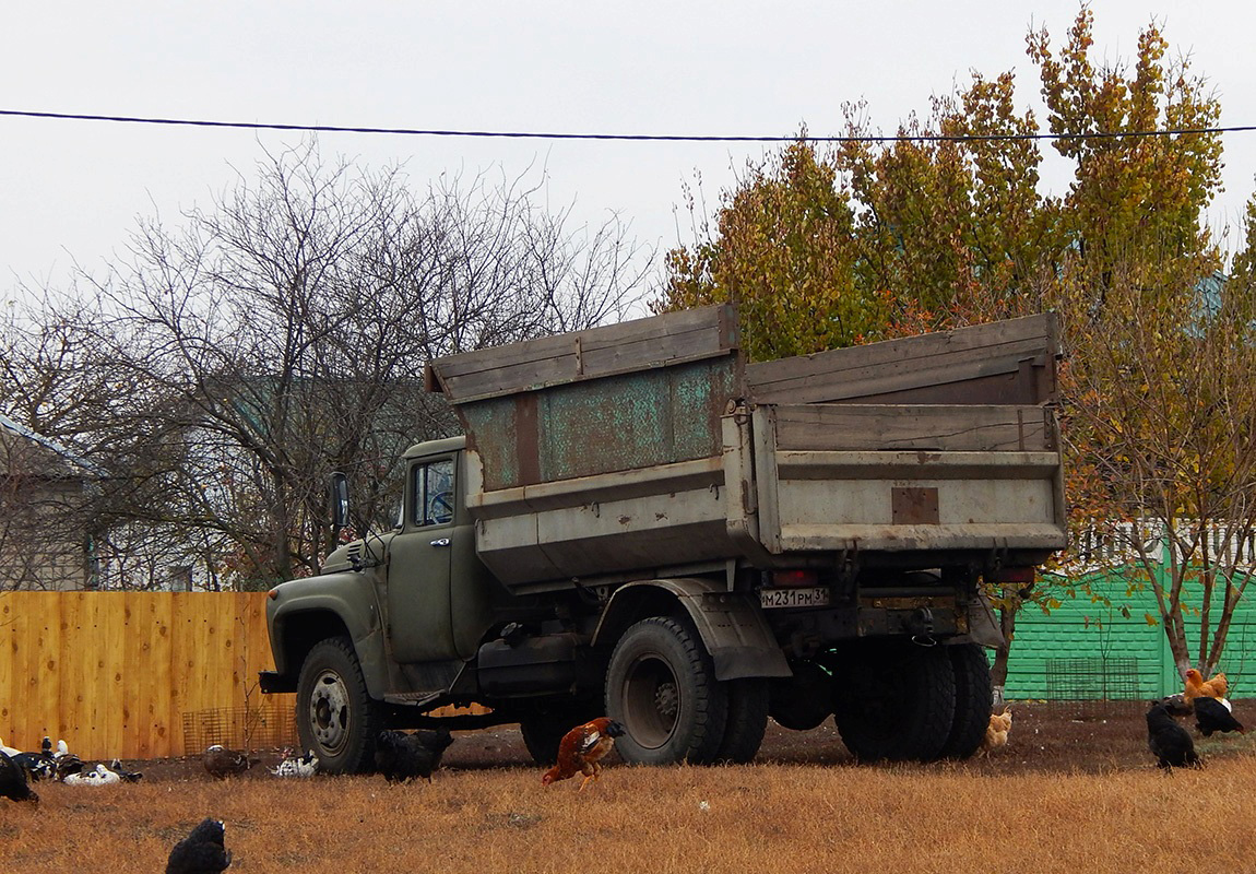 Белгородская область, № М 231 РМ 31 — ЗИЛ-495710