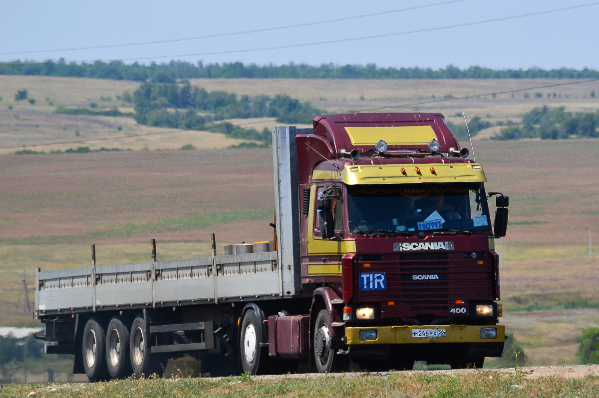 Воронежская область, № М 246 РХ 36 — Scania (II) R113M