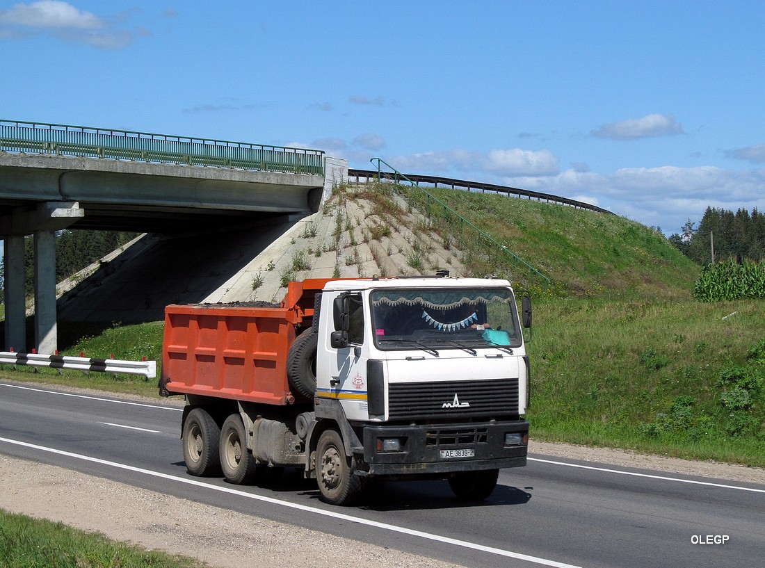 Витебская область, № АЕ 3839-2 — МАЗ-6501 (общая модель)