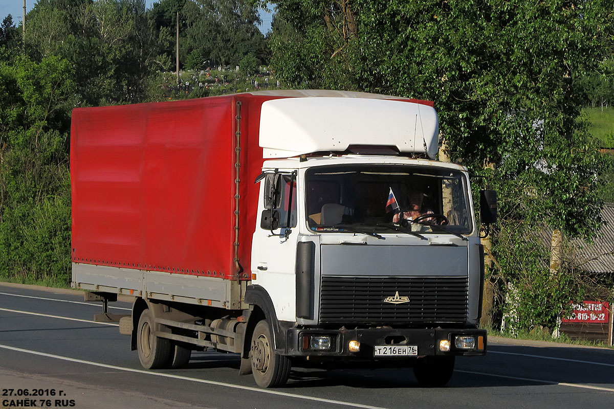 Ярославская область, № Т 216 ЕН 76 — МАЗ-437043 "Зубрёнок"