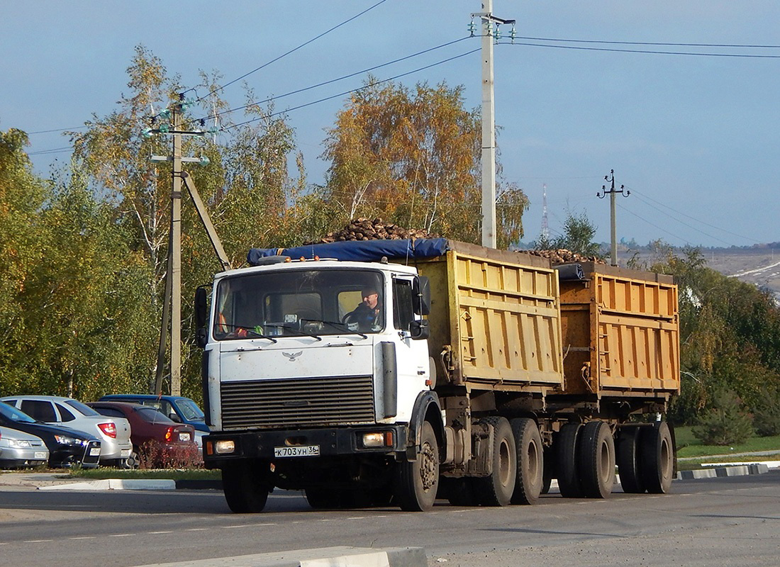 Воронежская область, № К 703 УН 36 — МАЗ-5516 (общая модель)