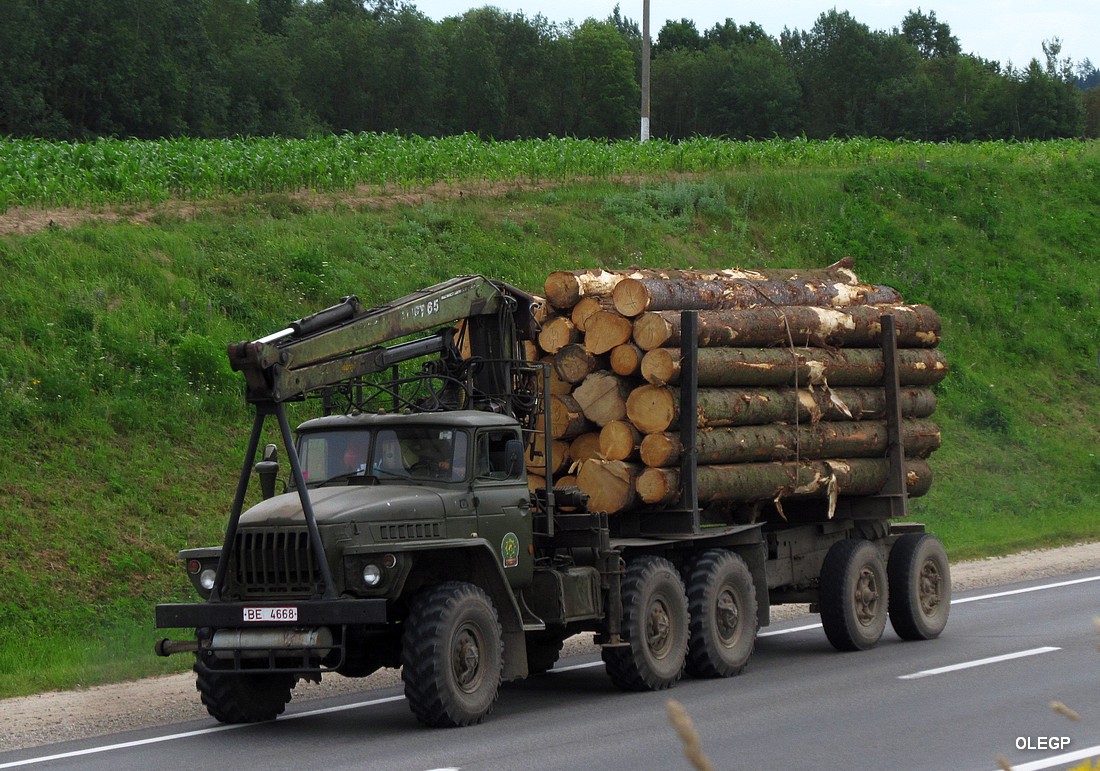 Витебская область, № ВЕ 4668 — Урал-4320 (общая модель)