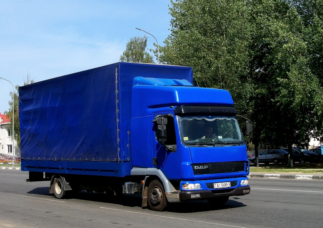 Гомельская область, № АІ 0489-3 — DAF LF45 FA