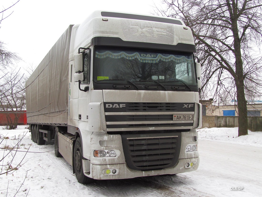 Витебская область, № АК 7619-2 — DAF XF95 FT