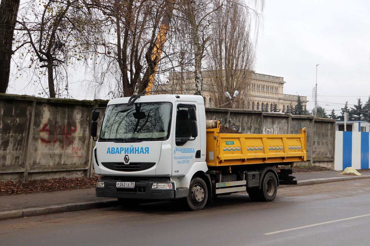 Калининградская область, № Р 262 СЕ 39 — Renault Midlum