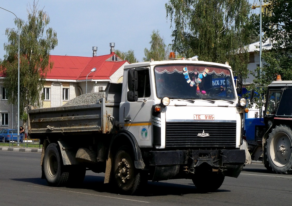 Могилёвская область, № ТЕ 9185 — МАЗ-5551 (общая модель)