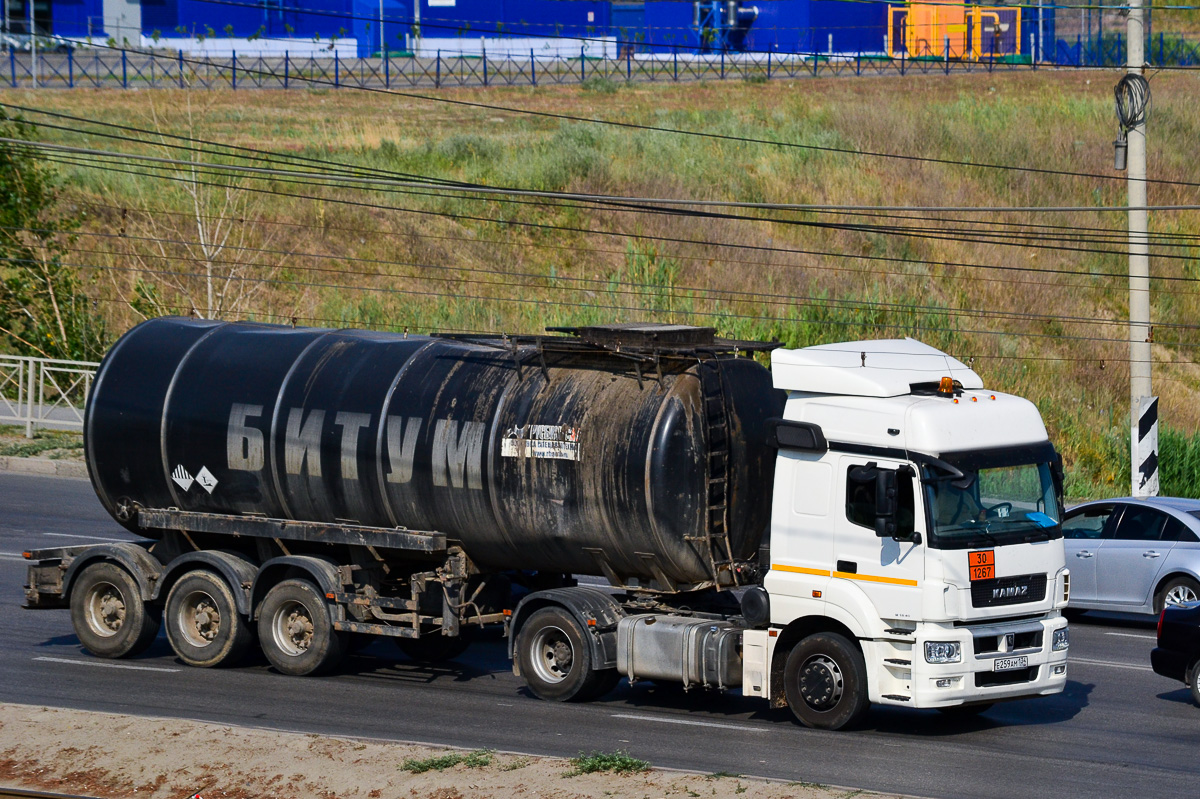 Волгоградская область, № Е 259 АМ 134 — КамАЗ-5490-S5(87)