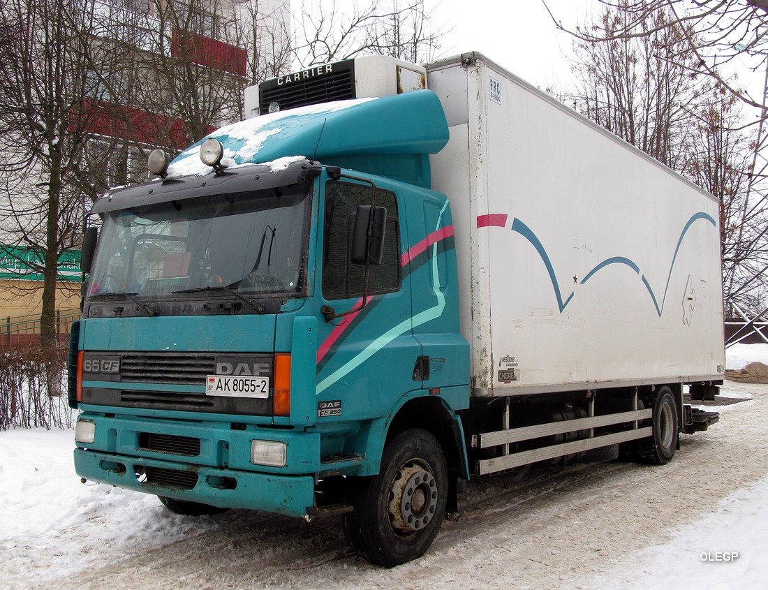 Витебская область, № АК 8055-2 — DAF CF65/75/85 (общая модель)