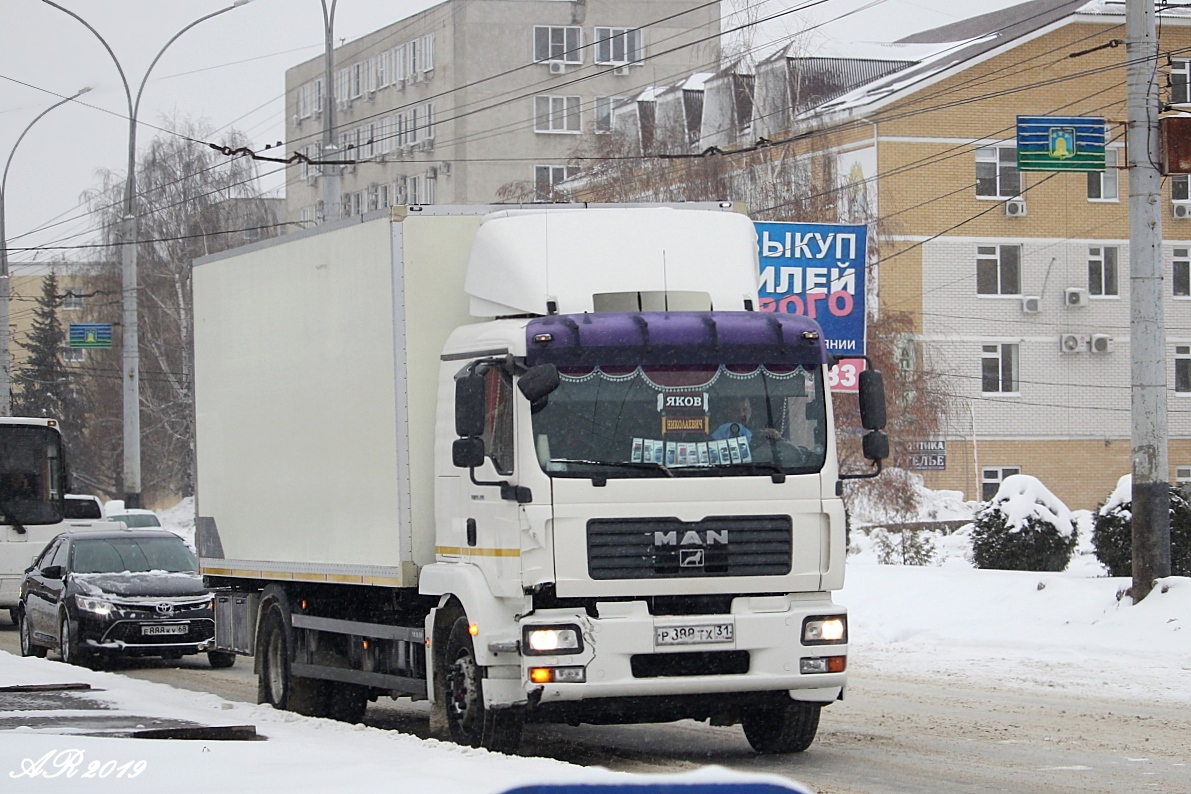 Белгородская область, № Р 888 ТХ 31 — MAN TGM (общая модель)