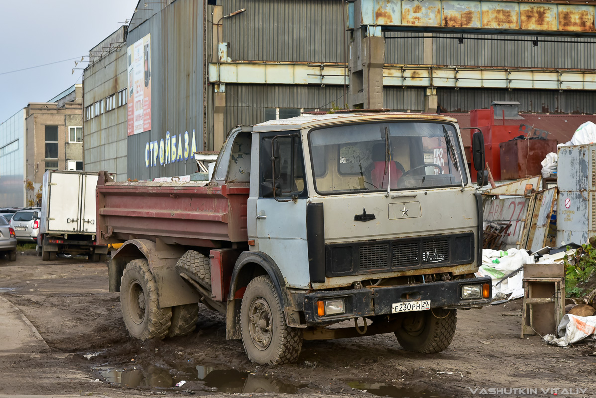 Архангельская область, № Е 230 РН 29 — МАЗ-5551 [555100]