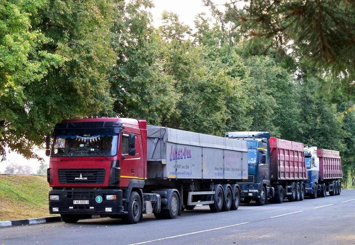 Гомельская область, № АК 9200-3 — МАЗ-5440 (общая модель)