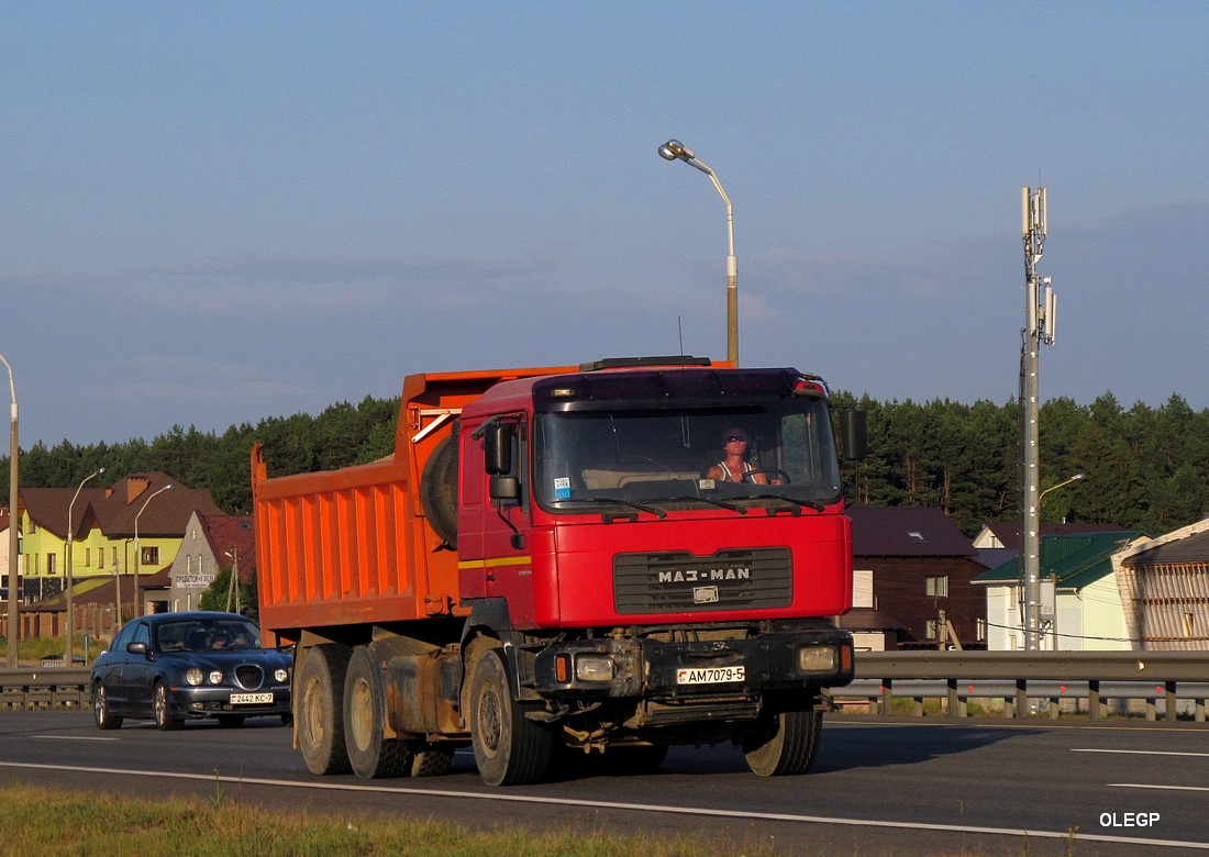 Минская область, № АМ 7079-5 — МАЗ-MAN (общая модель)