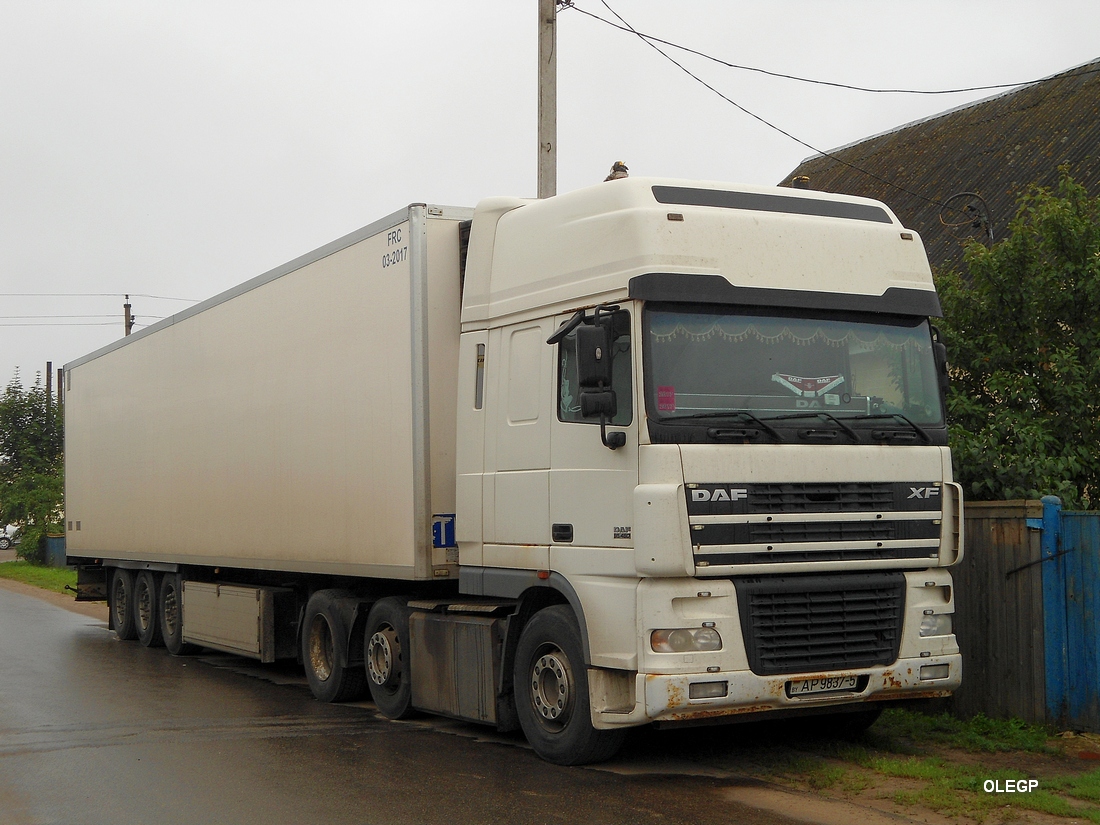 Минская область, № АР 9837-5 — DAF XF95 FT