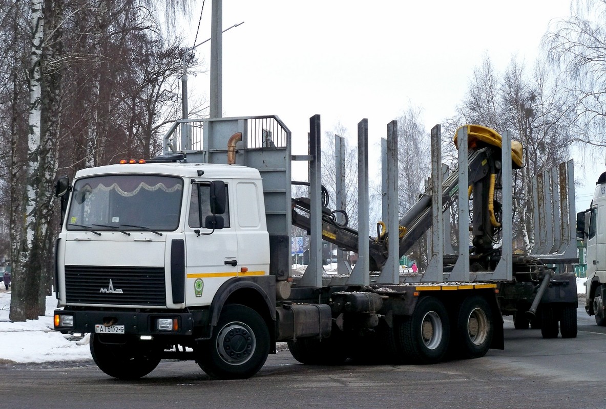 Могилёвская область, № АІ 5172-6 — МАЗ-6303 (общая модель)