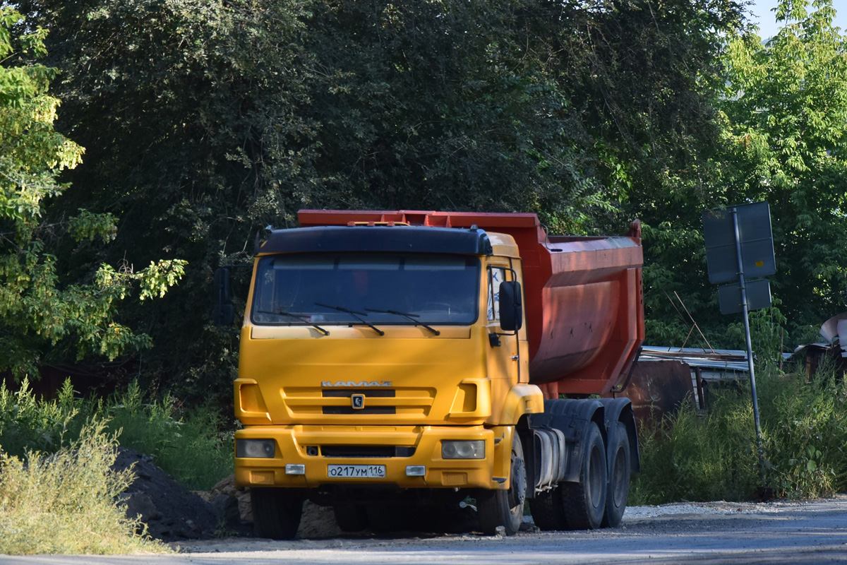 Волгоградская область, № О 217 УМ 116 — КамАЗ-65116-N3(78)