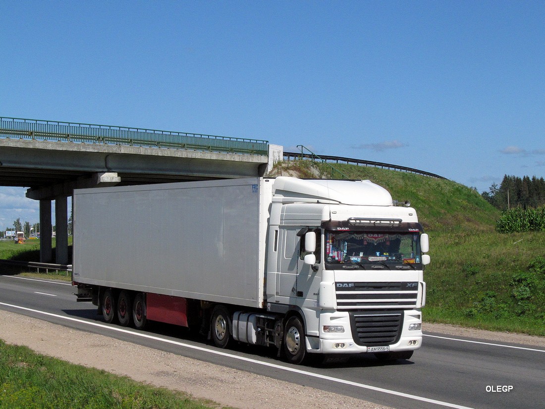 Минская область, № АМ 9556-5 — DAF XF95 FT