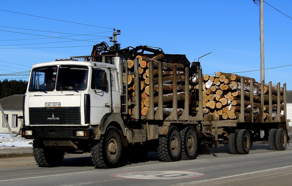 Могилёвская область, № АЕ 1307-6 — МАЗ-6317 (общая модель)