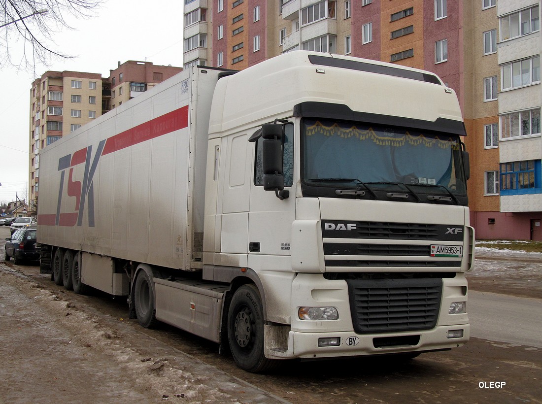 Брестская область, № АМ 5953-1 — DAF XF95 FT