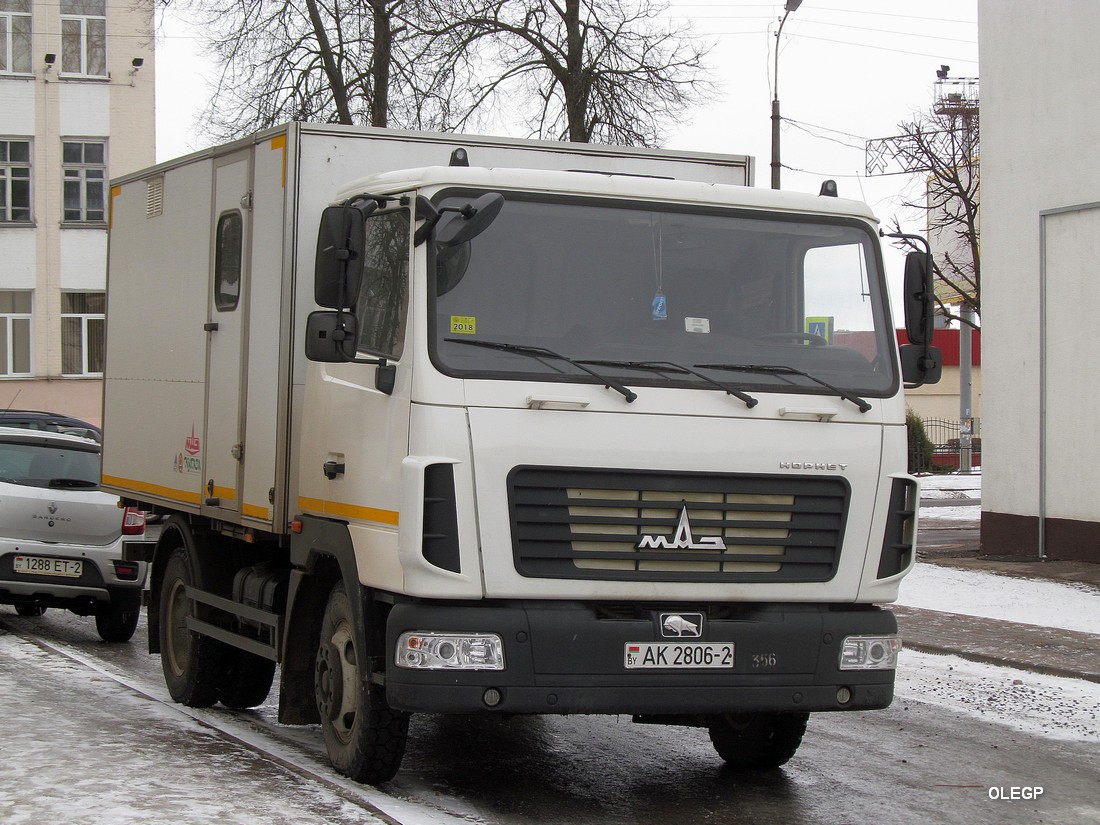 Витебская область, № АК 2806-2 — МАЗ-4571