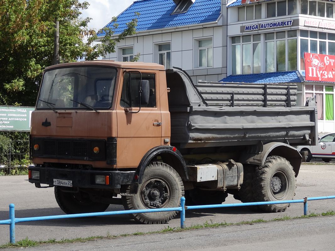 Приморский край, № Т 384 КН 25 — МАЗ-5551 [555100]
