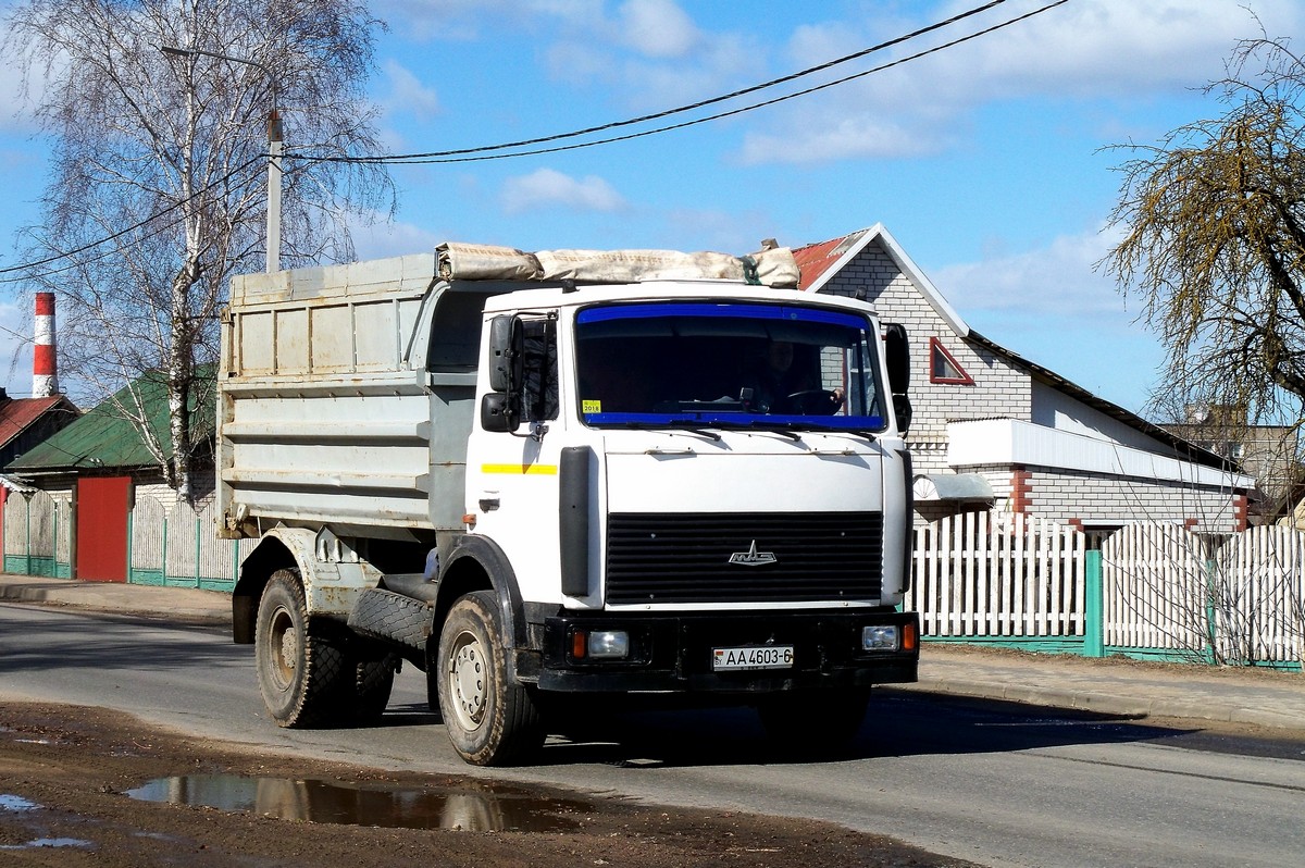 Могилёвская область, № АА 4603-6 — МАЗ-5551 (общая модель)