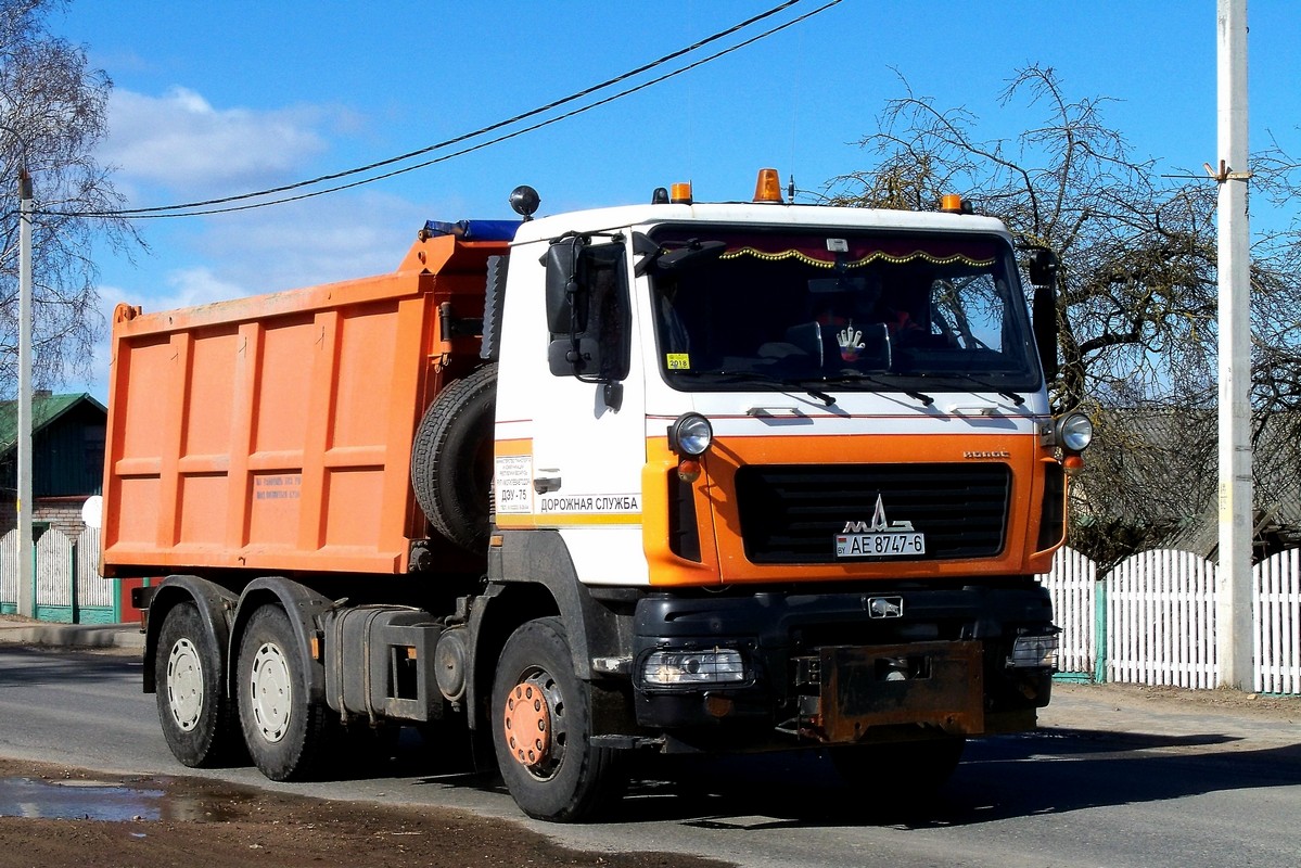 Могилёвская область, № АЕ 8747-6 — МАЗ-6501 (общая модель)