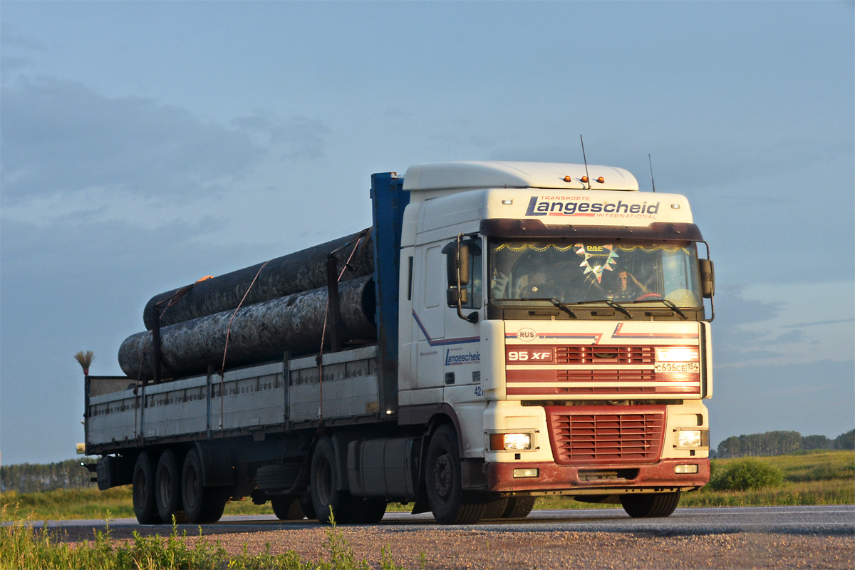 Новосибирская область, № С 606 СЕ 154 — DAF 95XF FT