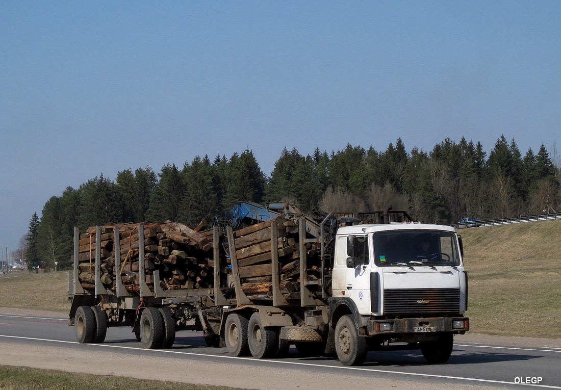 Витебская область, № АВ 5122-2 — МАЗ-6303 (общая модель)