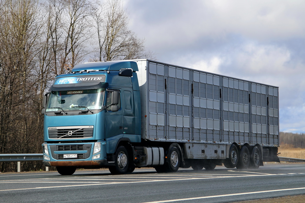 Ленинградская область, № В 155 УТ 47 — Volvo ('2008) FH.460; Volvo ('2008) FH.460 "Чемпион Эпохи" (Новгородская область)