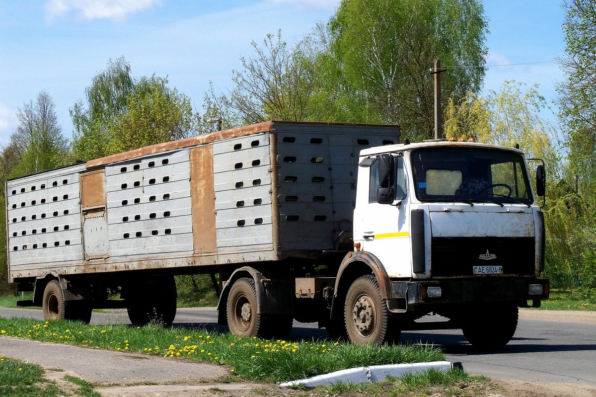 Могилёвская область, № АЕ 6824-6 — МАЗ-5433 (общая модель)