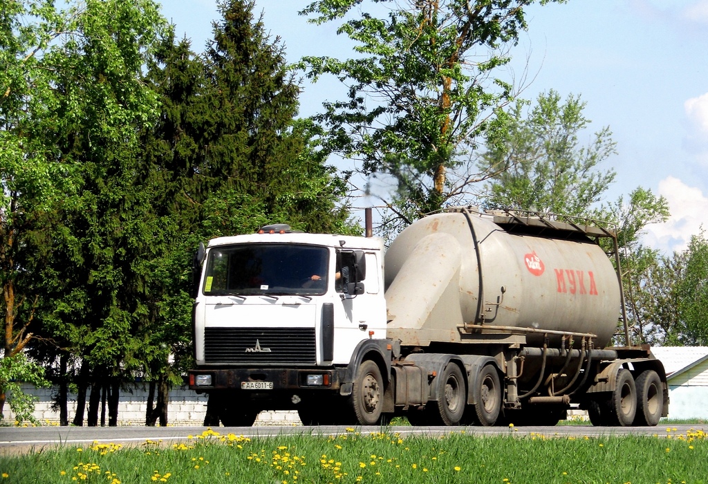 Могилёвская область, № АА 6011-6 — МАЗ-6422 (общая модель)