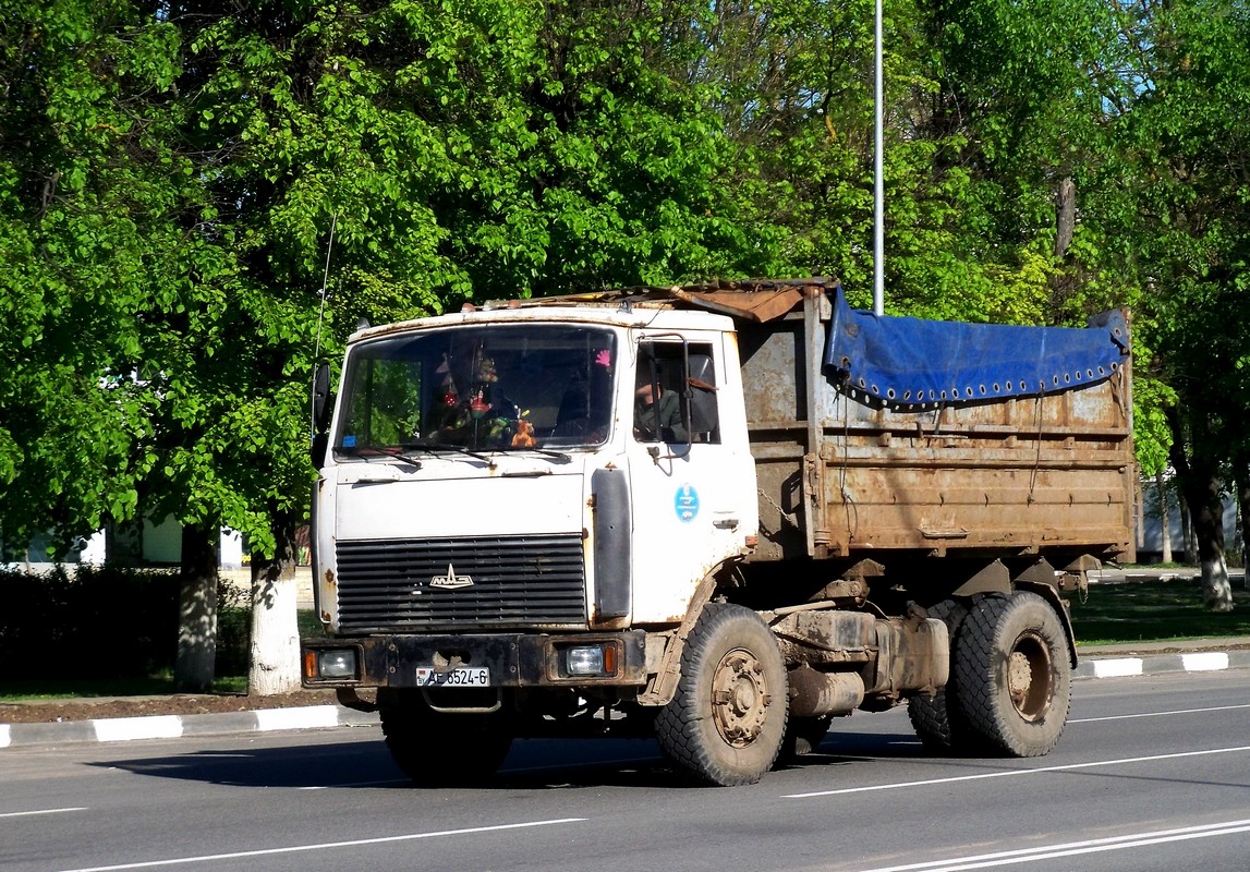 Могилёвская область, № АЕ 6524-6 — МАЗ-5551 (общая модель)