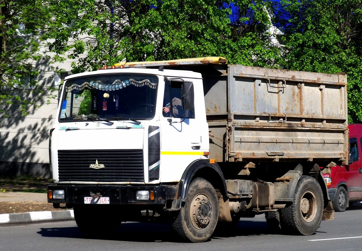 Могилёвская область, № ТВ 3346 — МАЗ-5551 (общая модель)