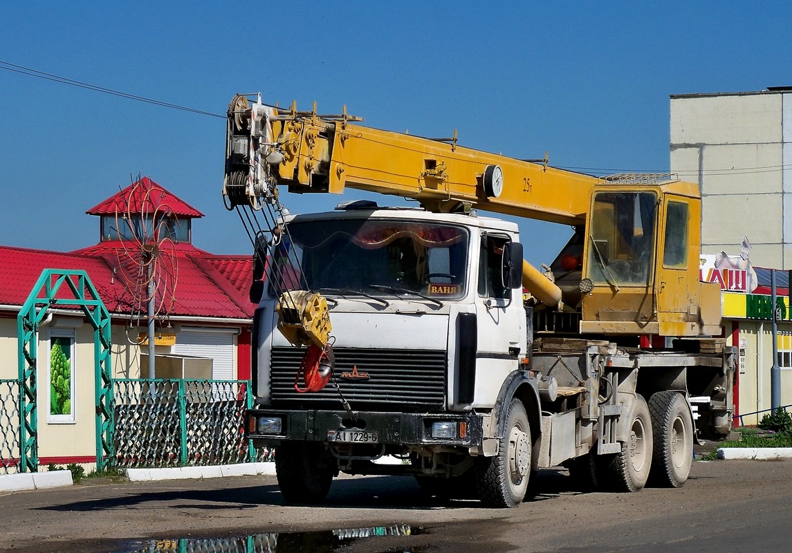 Могилёвская область, № АІ 1229-6 — МАЗ-6303 (общая модель)