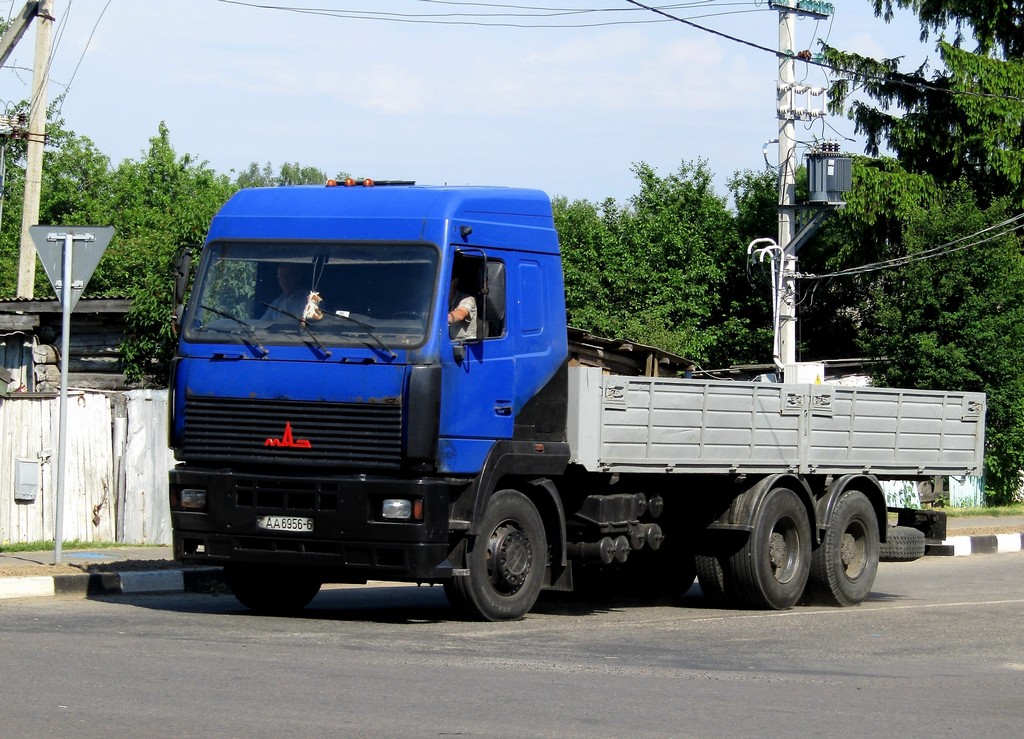 Могилёвская область, № АА 6956-6 — МАЗ-6312 (общая модель)