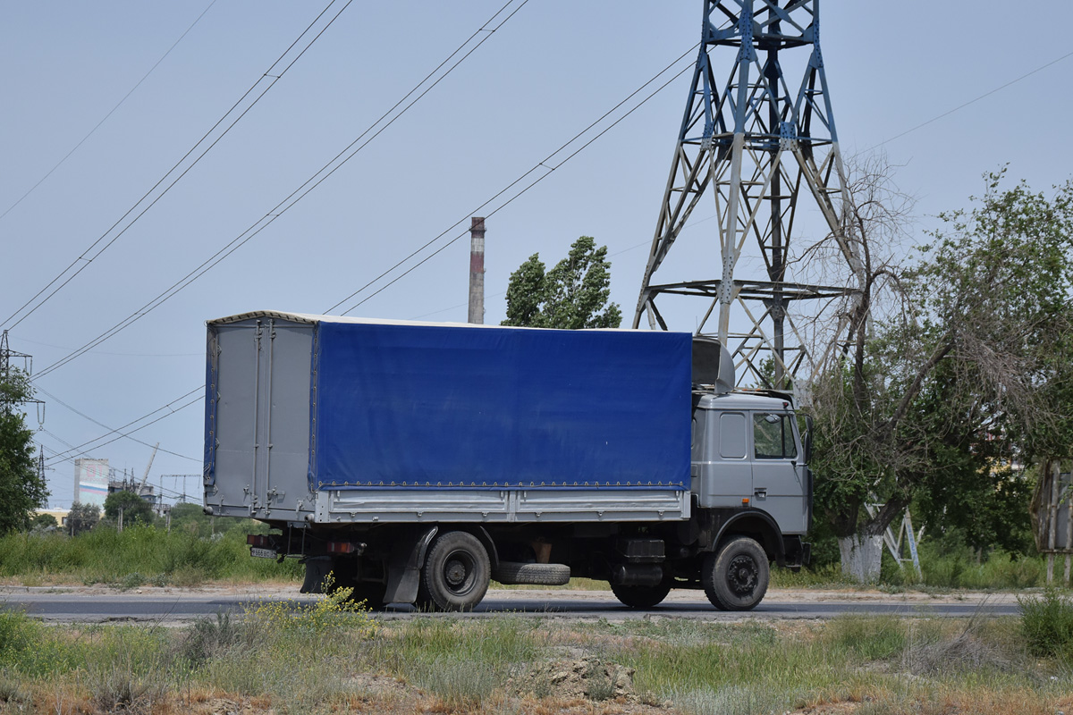 Волгоградская область, № Р 666 ВС 34 — МАЗ-533603