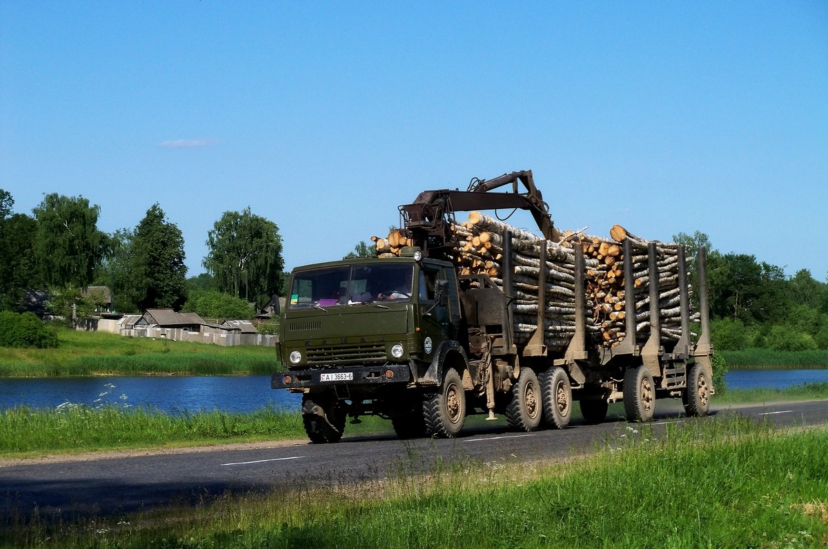 Могилёвская область, № АІ 3663-6 — КамАЗ-4310