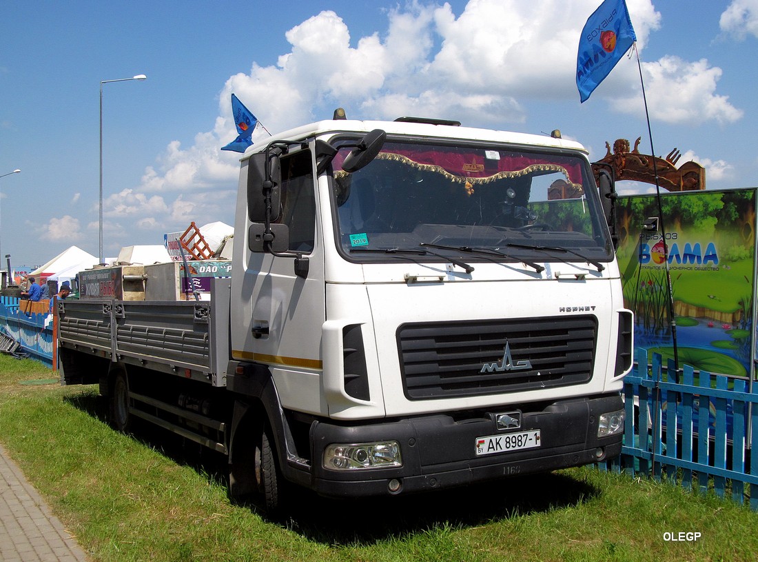Брестская область, № АК 8987-1 — МАЗ-4371 (общая модель)