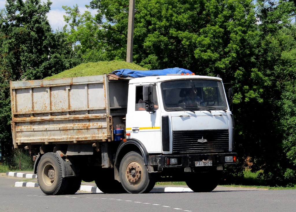 Могилёвская область, № АІ 1452-6 — МАЗ-5551 (общая модель)