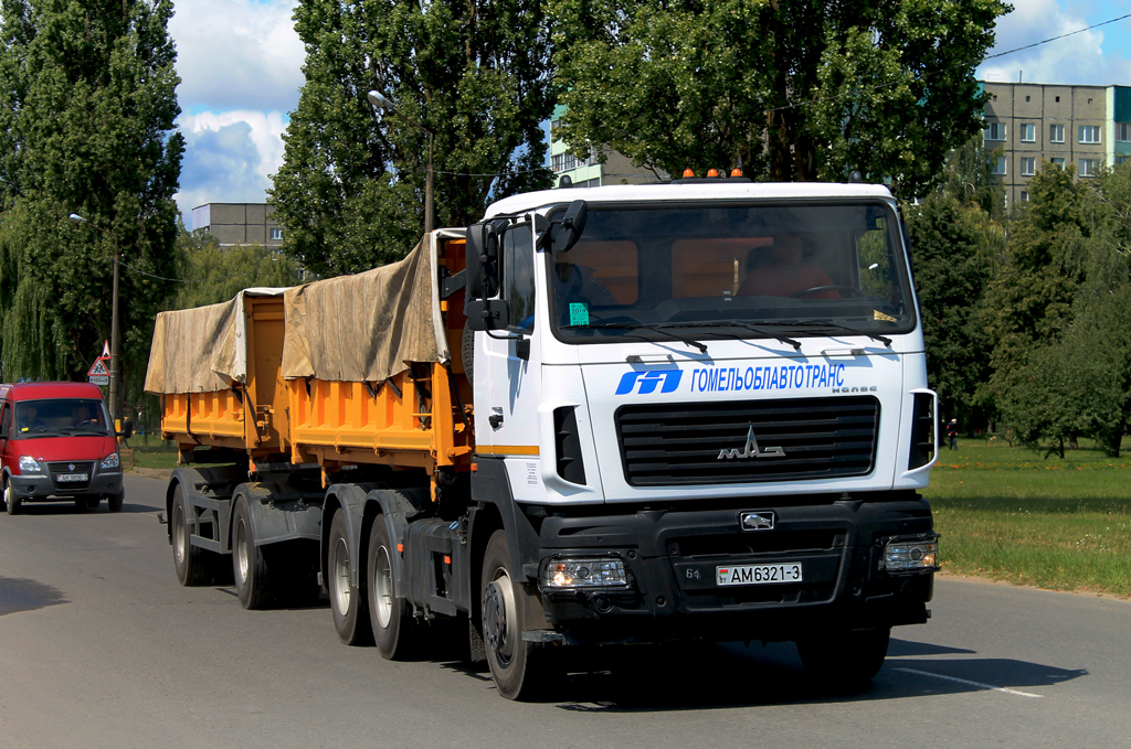 Гомельская область, № АМ 6321-3 — МАЗ-6501 (общая модель)