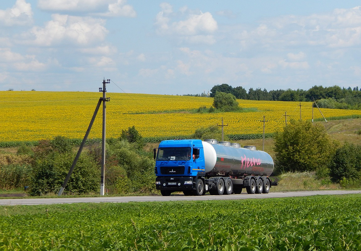 Белгородская область, № Н 428 РО 31 — МАЗ-6430 (общая модель)