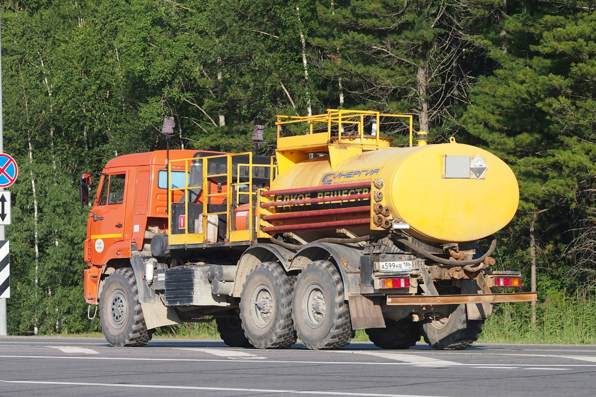 Ханты-Мансийский автоном.округ, № А 599 НВ 186 — КамАЗ-43118-46