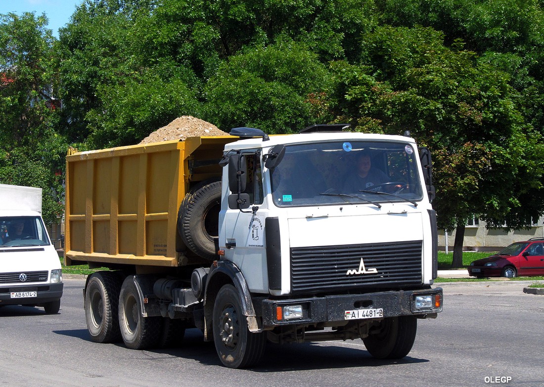 Витебская область, № АІ 4481-2 — МАЗ-5516 (общая модель)