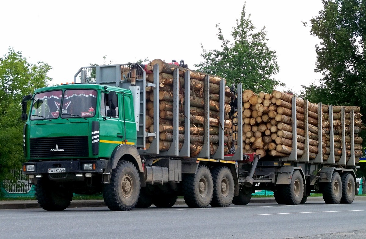 Могилёвская область, № АІ 3765-6 — МАЗ-6317 (общая модель)