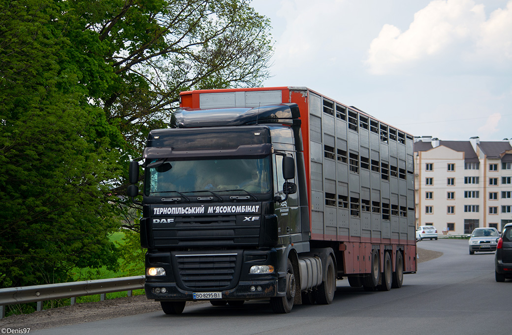 Тернопольская область, № ВО 8295 ВІ — DAF XF105 FT