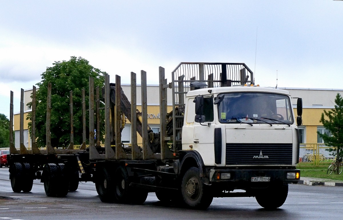 Могилёвская область, № АЕ 7011-6 — МАЗ-6303 (общая модель)