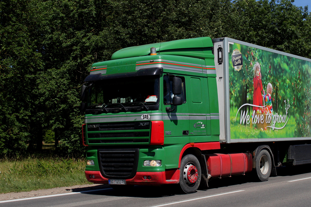 Сербия, № BG 1650-FU — DAF XF105 FT