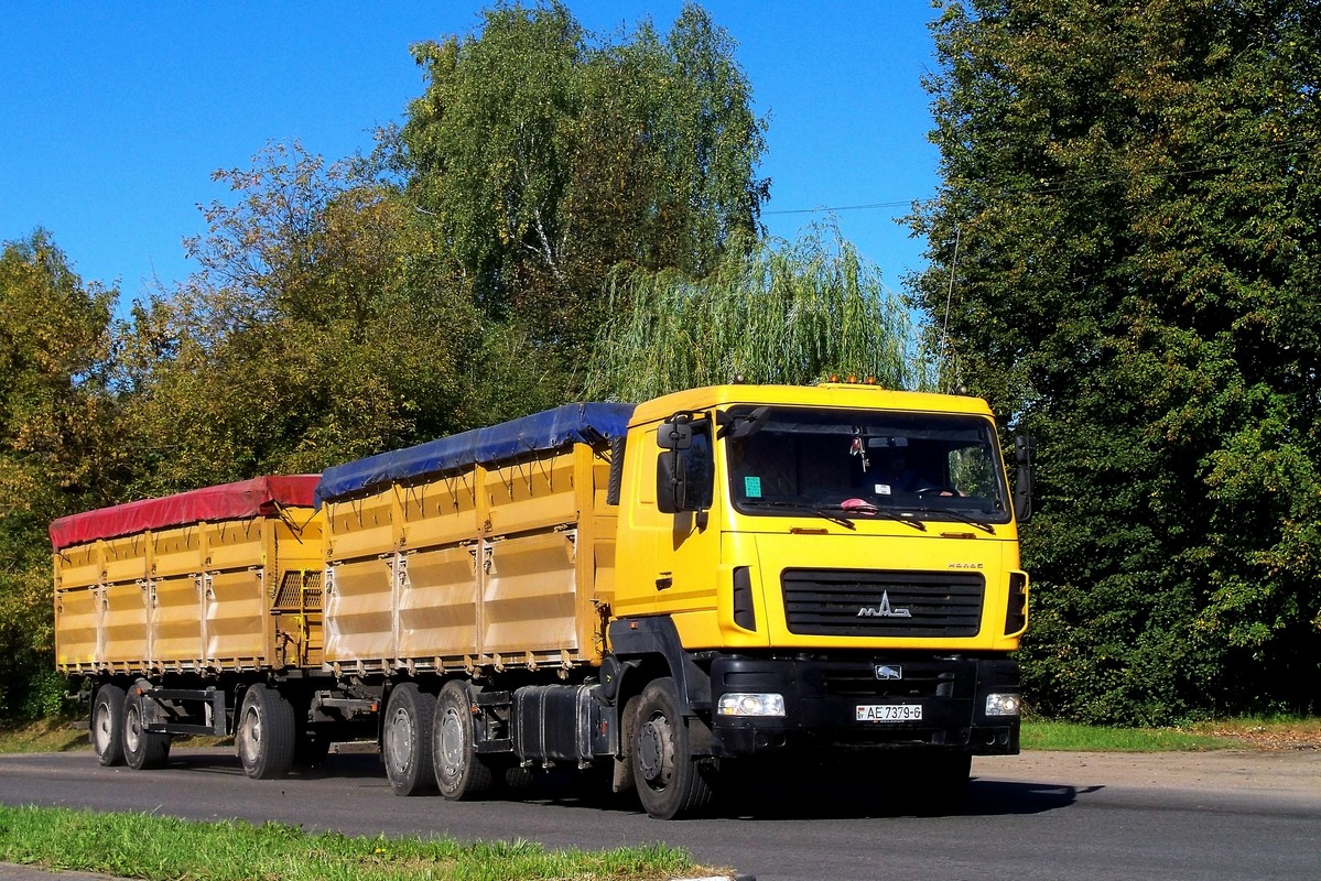 Могилёвская область, № АЕ 7379-6 — МАЗ-6501 (общая модель)